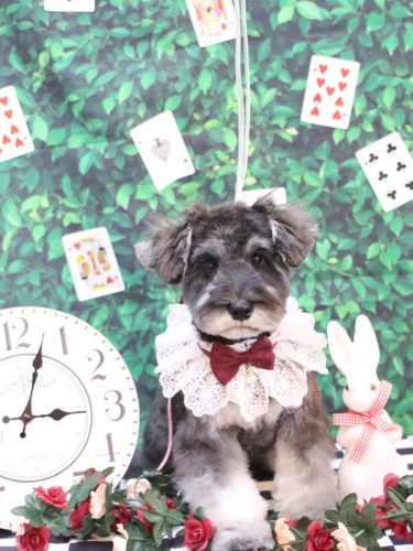 20250418らいちゃん